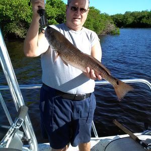 Meet your Posher, Hansen